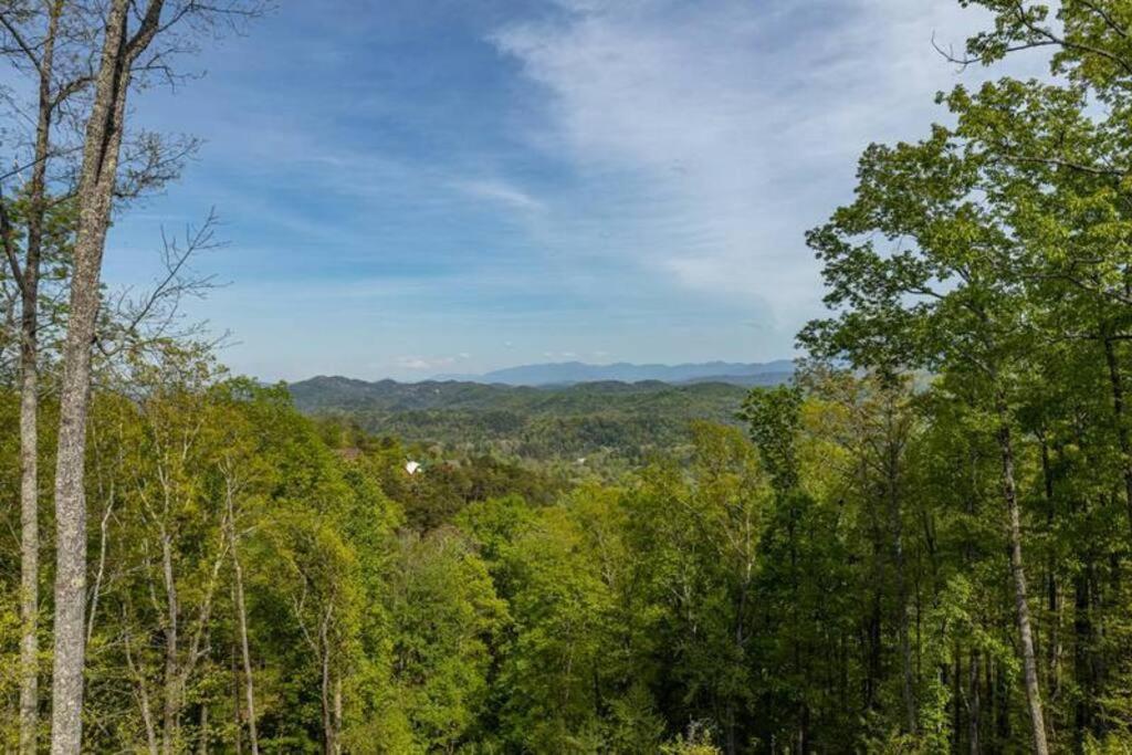 The Appalachian - Your Pigeon Forge Dream Cabin 塞维尔维尔 外观 照片